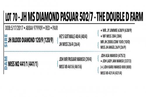 LOT 070 - JH MS DIAMOND PASUAR 502/7