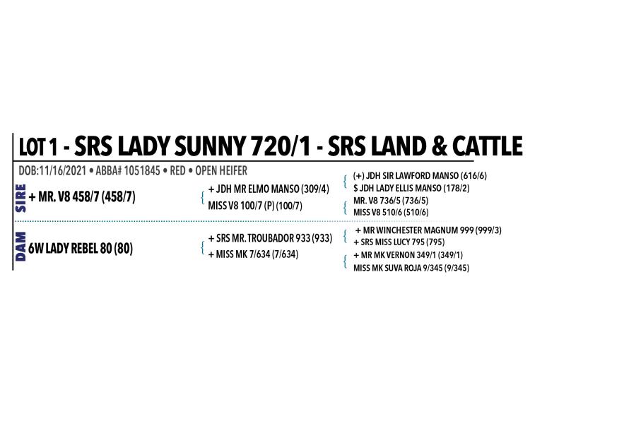 LOT 001 - SRS LADY SUNNY 720/1