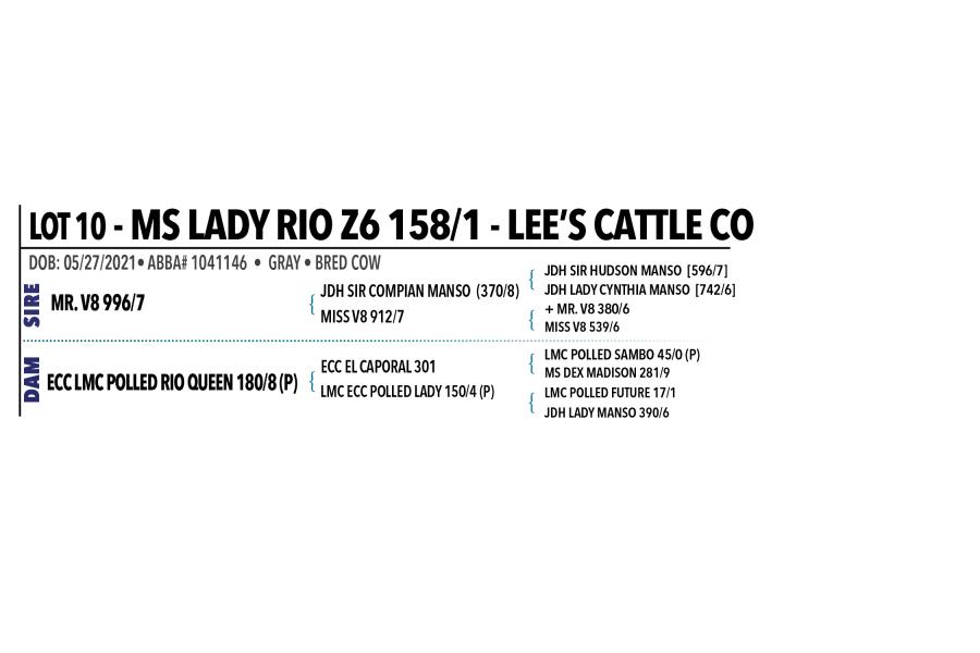 LOT 010 - MS LADY RIO Z6 158/1