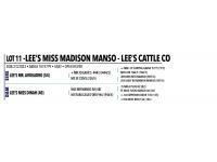 LOT 011 - LEE’S MISS MADISON MANSO