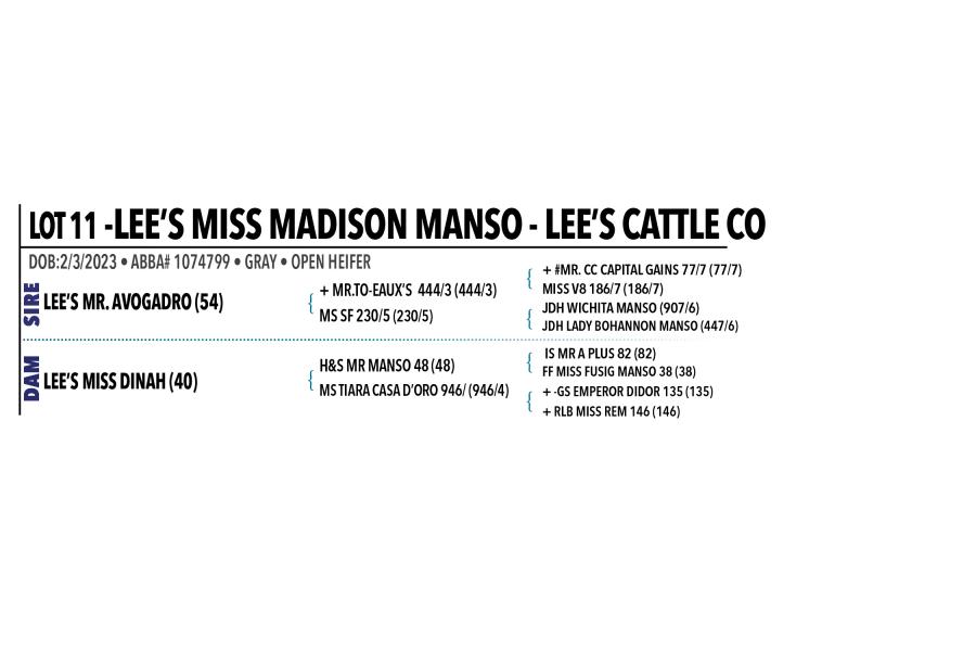 LOT 011 - LEE’S MISS MADISON MANSO