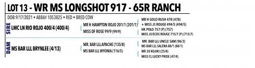 LOT 013 - WR MS LONGSHOT 917 OR LOT 012 - K-5 MISS ARISTACRAT 366/7 -  PICK OR X THE MONEY OF LOTS CHOSEN