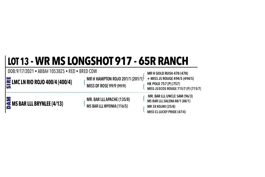 LOT 013 - WR MS LONGSHOT 917 OR LOT 012 - K-5 MISS ARISTACRAT 366/7 -  PICK OR X THE MONEY OF LOTS CHOSEN