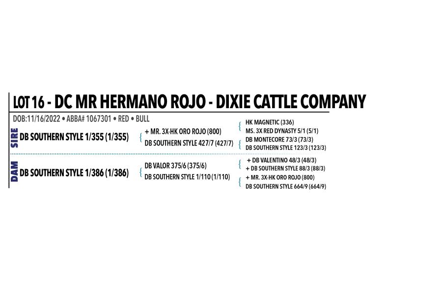 LOT 016 - DC MR HERMANO ROJO