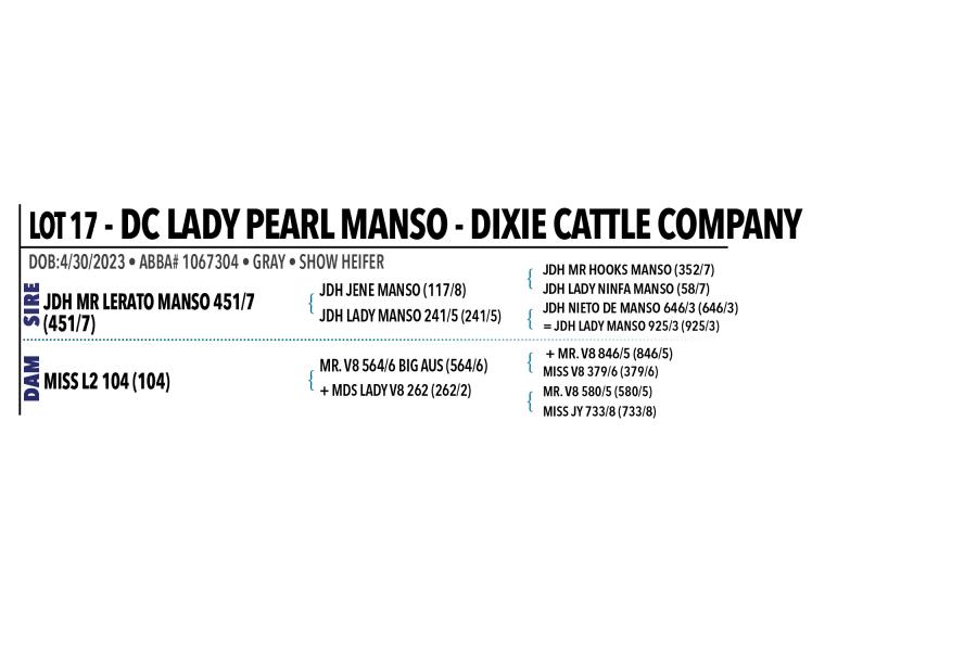 LOT 017 - DC LADY PEARL MANSO