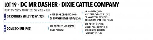 LOT 019 - DC MR DASHER