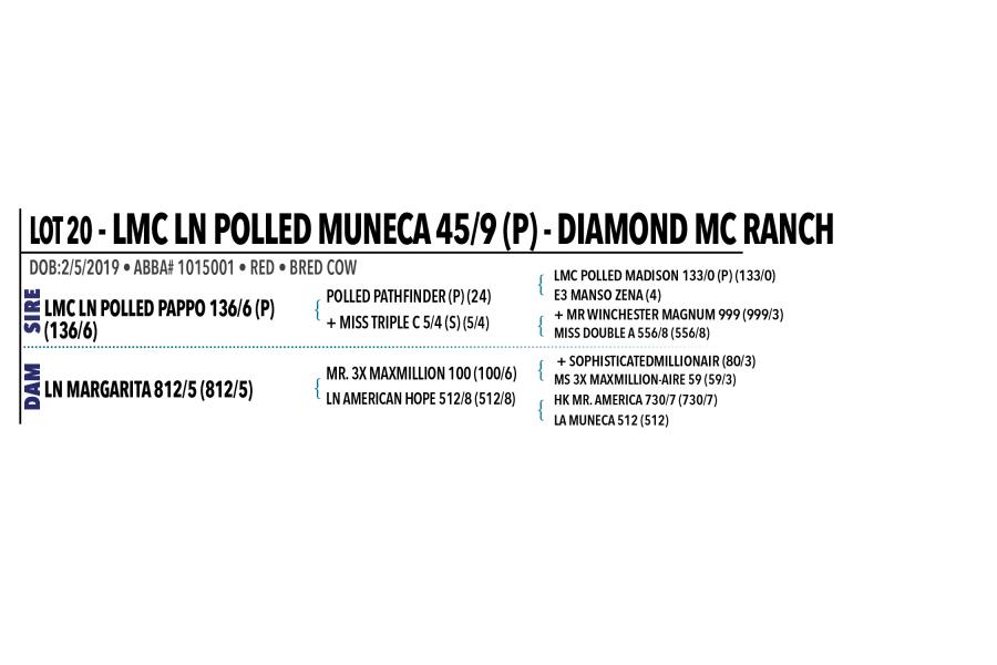 LOT 020 - LMC LN POLLED MUNECA 45/9 (P)