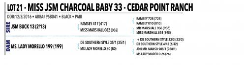 LOT 021 - MISS JSM CHARCOAL BABY 33