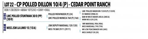 LOT 022 - CP POLLED DILLON 10/4 (P)