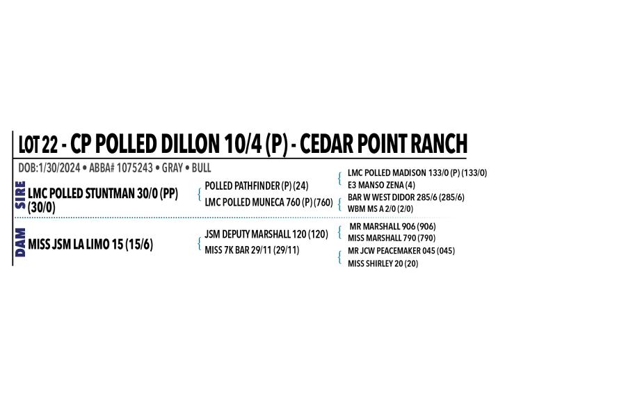 LOT 022 - CP POLLED DILLON 10/4 (P)