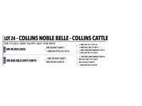 LOT 024 - COLLINS NOBLE BELLE