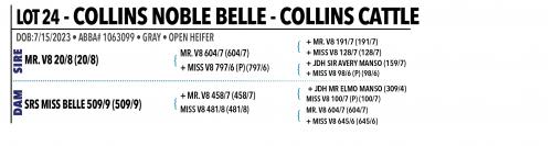 LOT 024 - COLLINS NOBLE BELLE