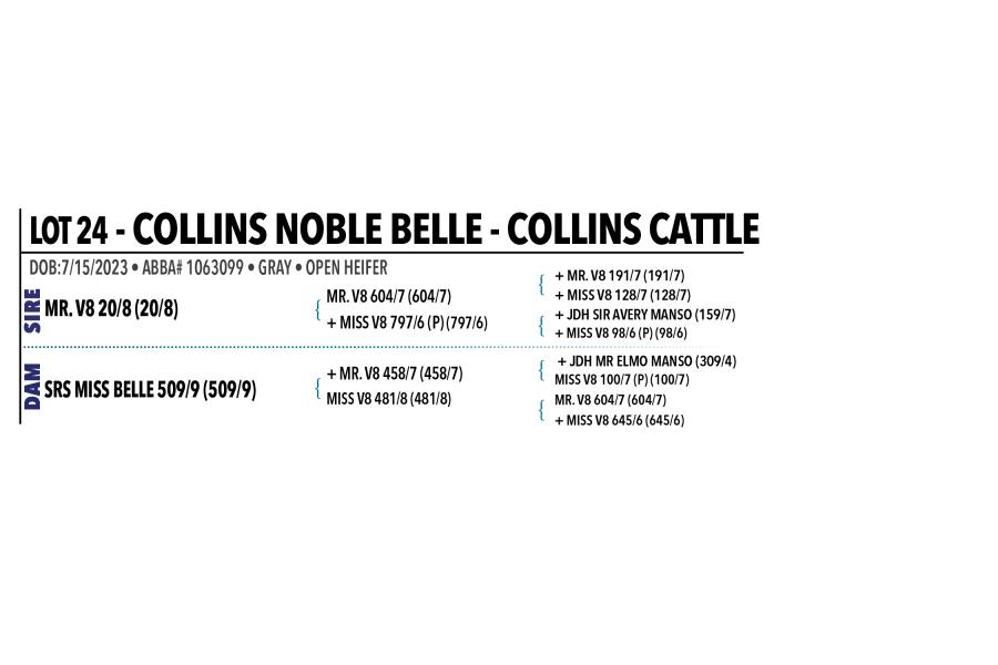 LOT 024 - COLLINS NOBLE BELLE