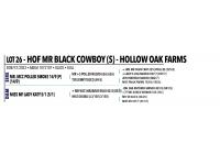 LOT 026 - HOF MR BLACK COWBOY (S)