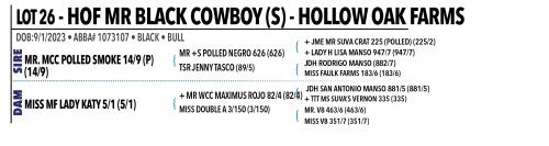 LOT 026 - HOF MR BLACK COWBOY (S)