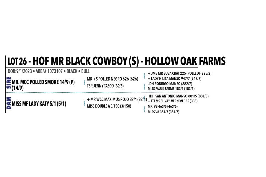 LOT 026 - HOF MR BLACK COWBOY (S)