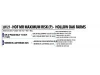 LOT 027 - HOF MR MAXIMUM RISK (P)