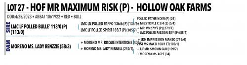 LOT 027 - HOF MR MAXIMUM RISK (P)