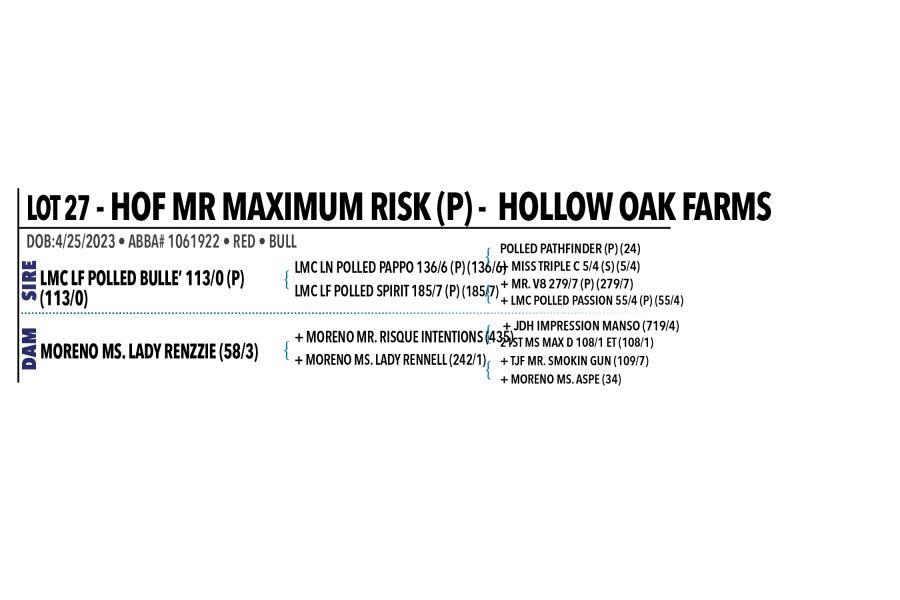 LOT 027 - HOF MR MAXIMUM RISK (P)