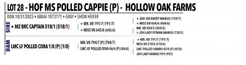 LOT 028 - HOF MS POLLED CAPPIE (P) OR LOT 029 - HOF MS POLLED ESPECIAL (P) - PICK OR X THE MONEY OF LOTS CHOSEN