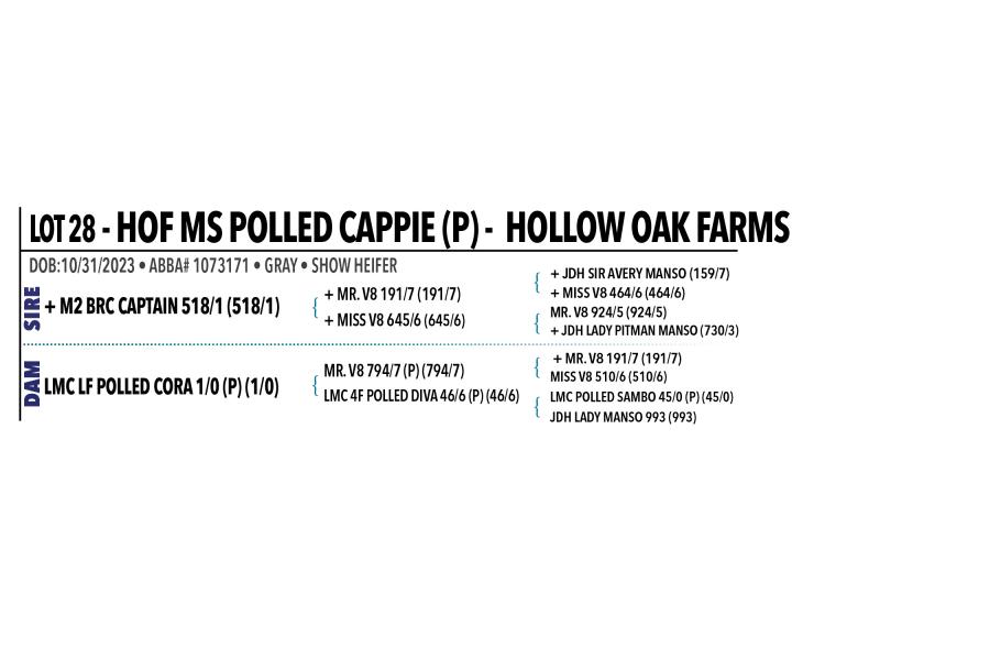 LOT 028 - HOF MS POLLED CAPPIE (P) OR LOT 029 - HOF MS POLLED ESPECIAL (P) - PICK OR X THE MONEY OF LOTS CHOSEN