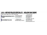 LOT 029 - HOF MS POLLED ESPECIAL (P) OR LOT 028 - HOF MS POLLED CAPPIE (P) -  PICK OR X THE MONEY OF LOTS CHOSEN