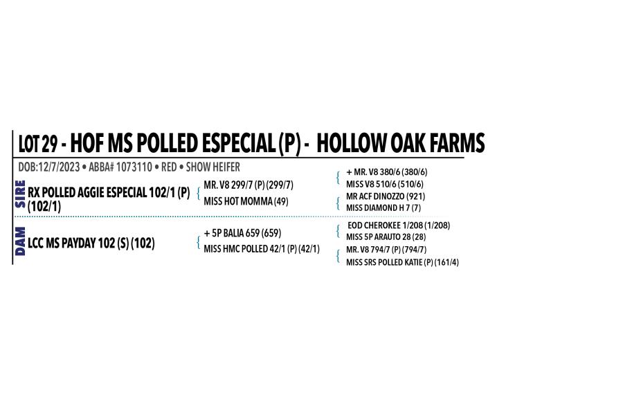 LOT 029 - HOF MS POLLED ESPECIAL (P) OR LOT 028 - HOF MS POLLED CAPPIE (P) -  PICK OR X THE MONEY OF LOTS CHOSEN