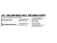 LOT 003 - SRS LADY ROJO 746/2 or LOT 002 - SRS LADY SAPHIRE 734/2  - PICK OR X THE MONEY OF LOTS CHOSEN