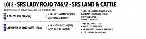 LOT 003 - SRS LADY ROJO 746/2 or LOT 002 - SRS LADY SAPHIRE 734/2  - PICK OR X THE MONEY OF LOTS CHOSEN