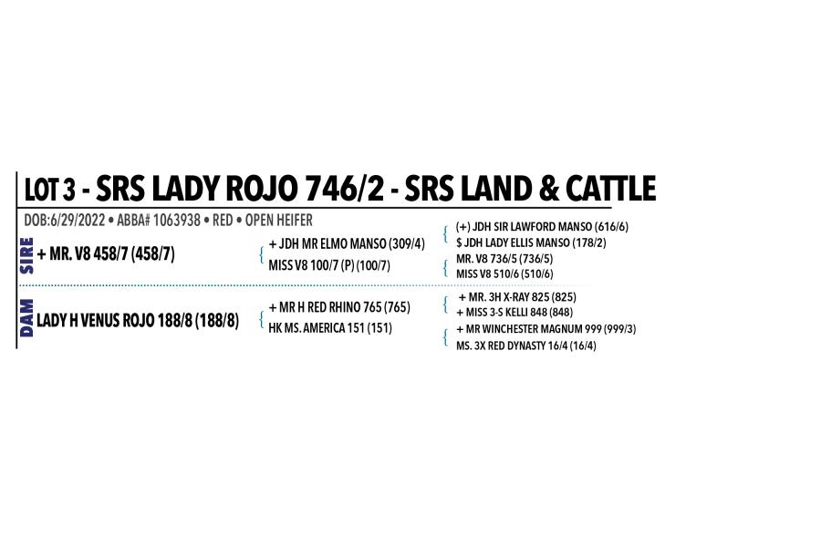 LOT 003 - SRS LADY ROJO 746/2 or LOT 002 - SRS LADY SAPHIRE 734/2  - PICK OR X THE MONEY OF LOTS CHOSEN