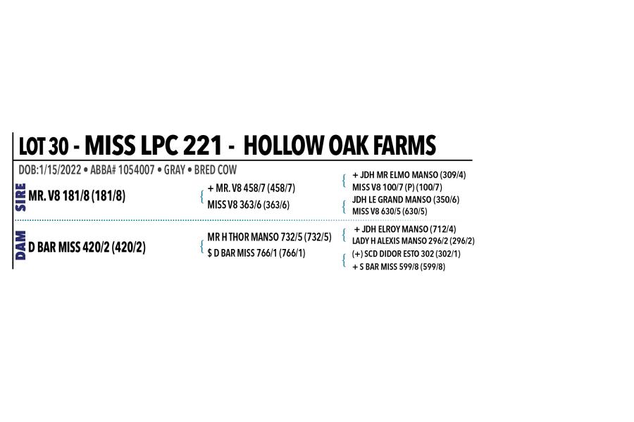 LOT 030 - MISS LPC 221 OR LOT 031 - JF MISS CAP 10/21 - PICK OR X THE MONEY OF LOTS CHOSEN