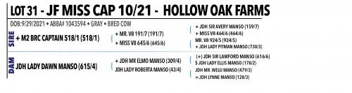 LOT 031 - JF MISS CAP 10/21 OR LOT 030 - MISS LPC 221 -  PICK OR X THE MONEY OF LOTS CHOSEN