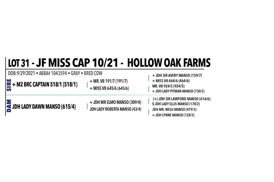 LOT 031 - JF MISS CAP 10/21 OR LOT 030 - MISS LPC 221 -  PICK OR X THE MONEY OF LOTS CHOSEN