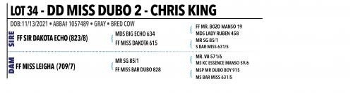 LOT 034 - DD MISS DUBO 2 OR LOT 035 - DD MISS MADISON 10 -  PICK OR X THE MONEY OF LOTS CHOSEN
