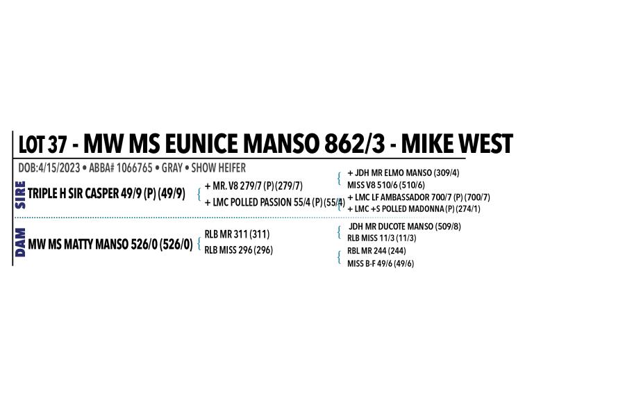 LOT 037 - MW MS EUNICE MANSO 862/3