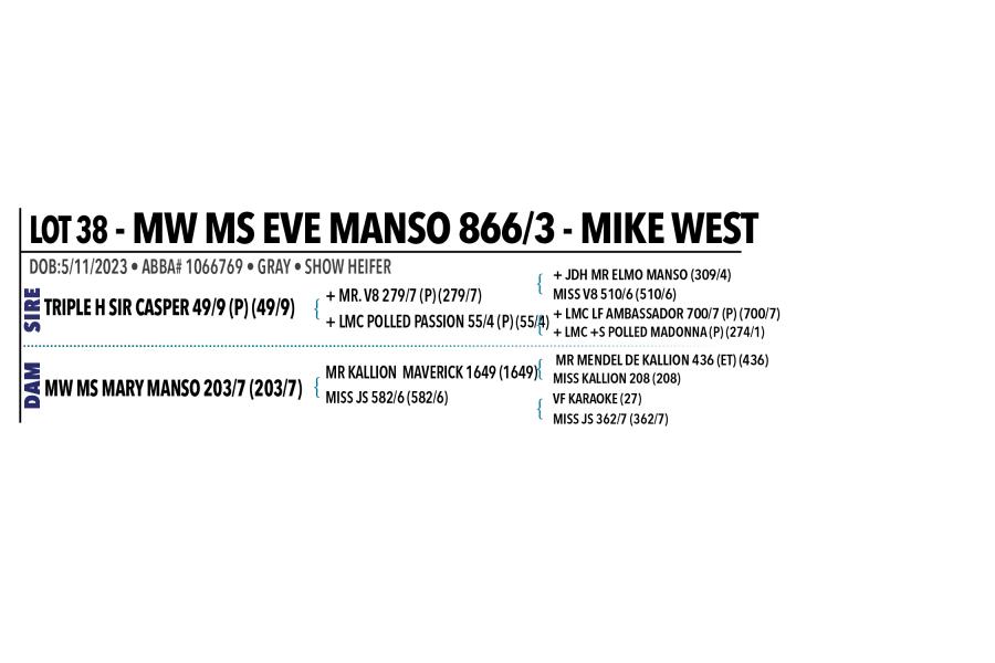 LOT 038 - MW MS EVE MANSO 866/3