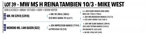 LOT 039 - MW MS H REINA TAMBIEN 10/3