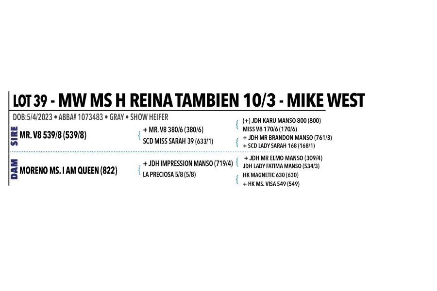 LOT 039 - MW MS H REINA TAMBIEN 10/3