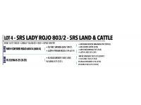 LOT 004 - SRS LADY ROJO 803/2 OR LOT 005 - SRS LADY ROJO 807/2 -  PICK OR X THE MONEY OF LOTS CHOSEN