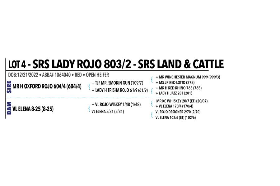 LOT 004 - SRS LADY ROJO 803/2 OR LOT 005 - SRS LADY ROJO 807/2 -  PICK OR X THE MONEY OF LOTS CHOSEN