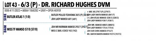 LOT 043 - 6/3 (P) OR LOT 044 - 9/3 (P) OR LOT 045 - 11/3 (P) -  PICK OR X THE MONEY OF LOTS CHOSEN