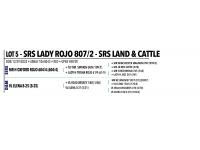 LOT 005 - SRS LADY ROJO 807/2 OR LOT 004 - SRS LADY ROJO 803/2 -  PICK OR X THE MONEY OF LOTS CHOSEN