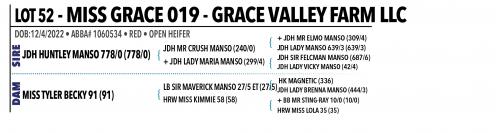 LOT 052 - MISS GRACE 019 OR LOT 053 - MISS GRACE 018 -  PICK OR X THE MONEY OF LOTS CHOSEN