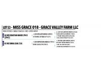 LOT 053 - MISS GRACE 018 OR LOT 052 - MISS GRACE 019 - PICK OR X THE MONEY OF LOTS CHOSEN