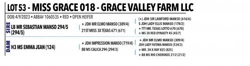 LOT 053 - MISS GRACE 018 OR LOT 052 - MISS GRACE 019 - PICK OR X THE MONEY OF LOTS CHOSEN