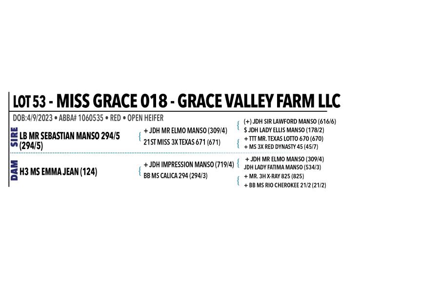 LOT 053 - MISS GRACE 018 OR LOT 052 - MISS GRACE 019 - PICK OR X THE MONEY OF LOTS CHOSEN