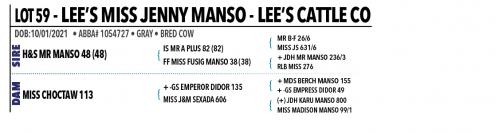 LOT 059 - LEE’S MISS JENNY MANSO 137/0