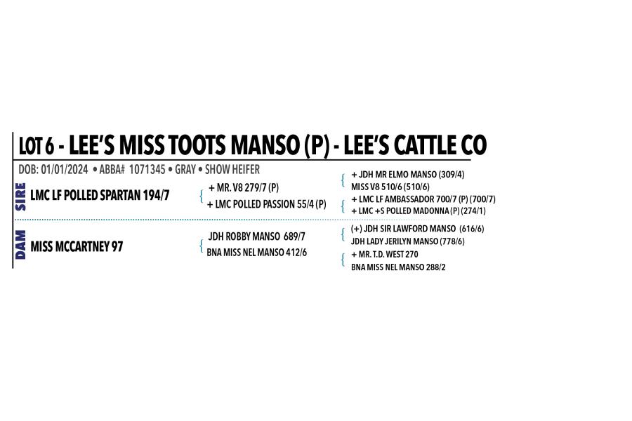 LOT 006 - LEE’S MISS TOOTS MANSO (P)