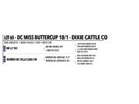 LOT 060 - DC MISS BUTTERCUP 18/1