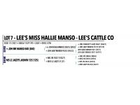 LOT 007 - LEE’S MISS HALLIE MANSO